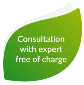 Beschreibung der Animation